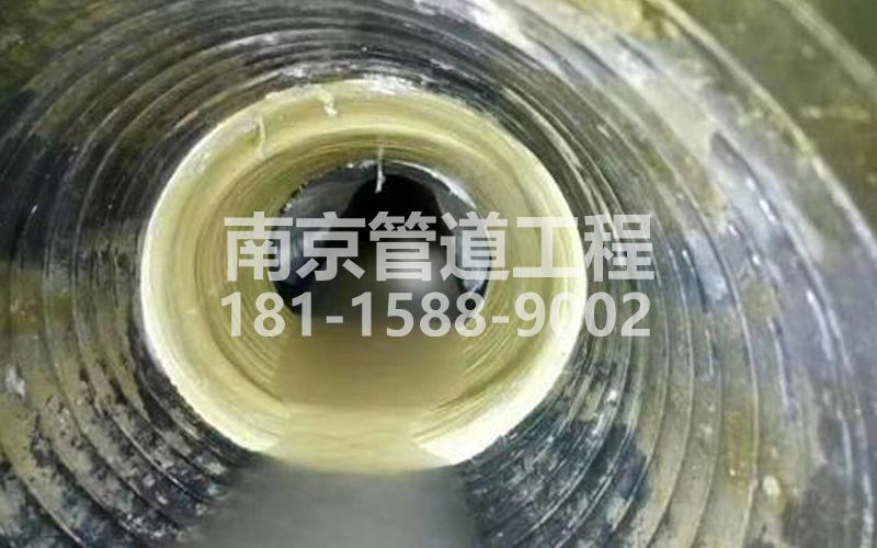 226明故宫树脂修复